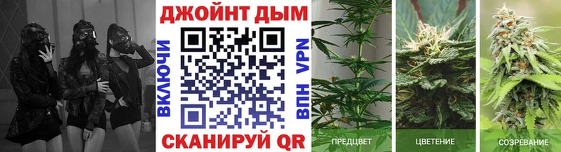 ссылка на мегу tor  Ессентукская  Бошки марихуана ГИДРОПОН 